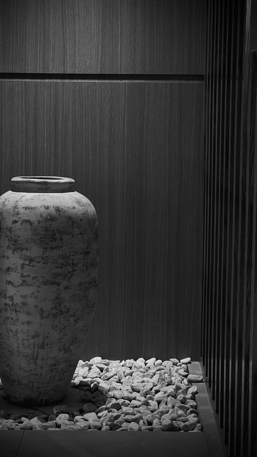 Preparación artesanal de ramen en cocina